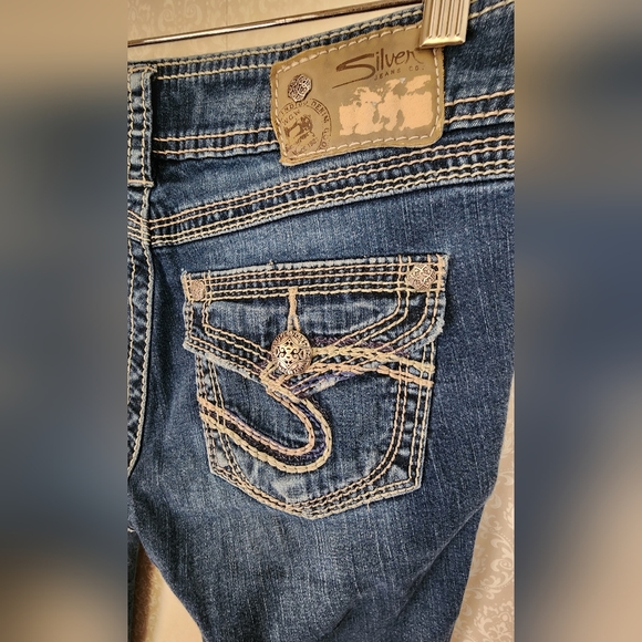 Silver Capris - Picture 6 of 11